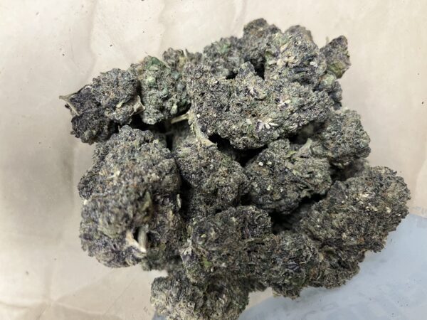 Hoodrich By Phenix Farms