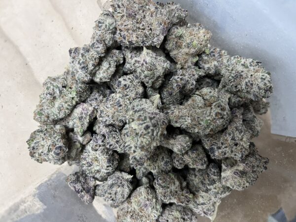 Sub Zero By Wicked Kind