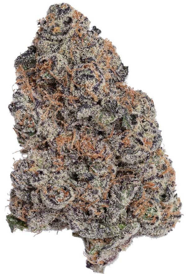 Platinum Garlic Cookies By LOWD