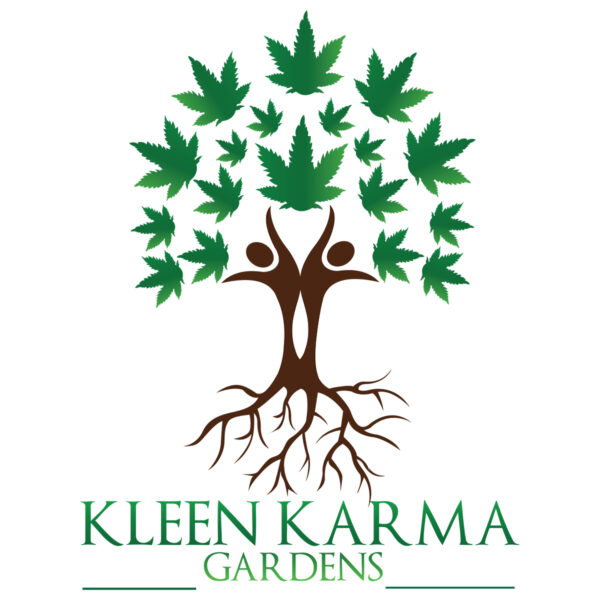 Le Silver By Kleen Karma