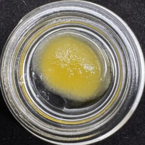 Sessions 1g Cured Resin Franklins Mintz