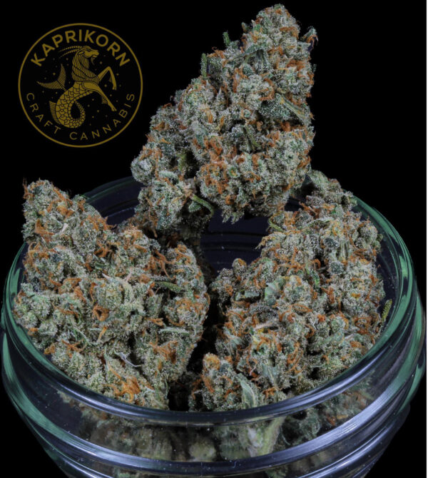 Jack Herer By Kaprikorn