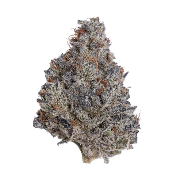 Truffle ButterScotch By LOWD