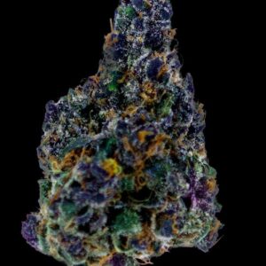 Barry Bonds By Ripped City