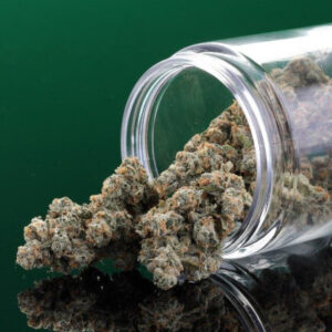 Jack Herer By Midnight Fruit Co