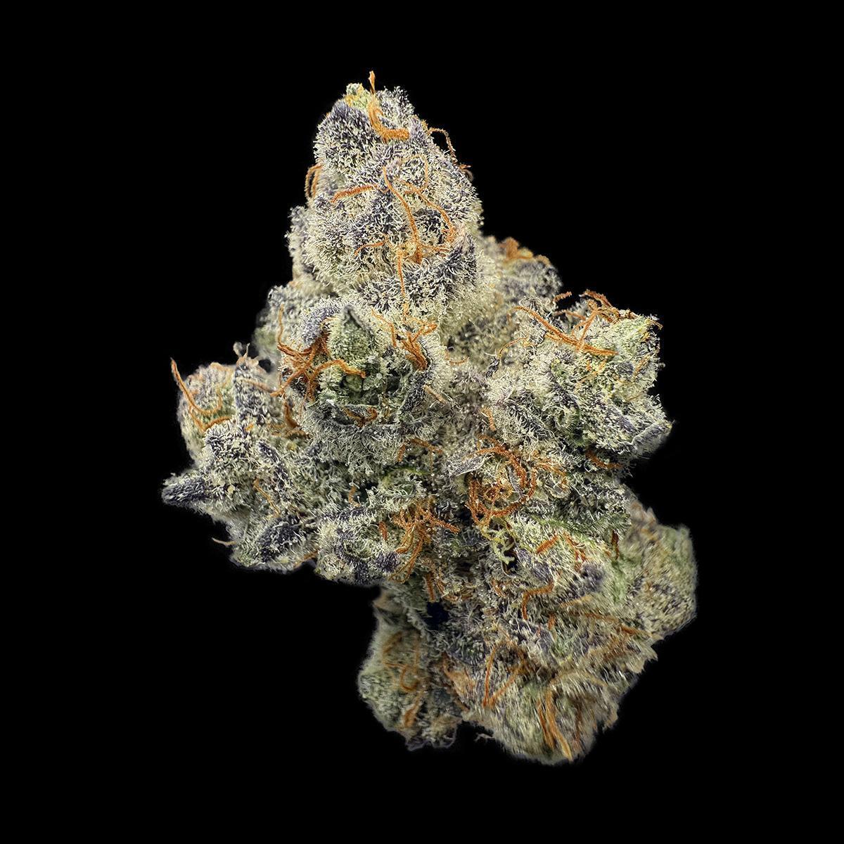 Bahama Berry By Ripped City