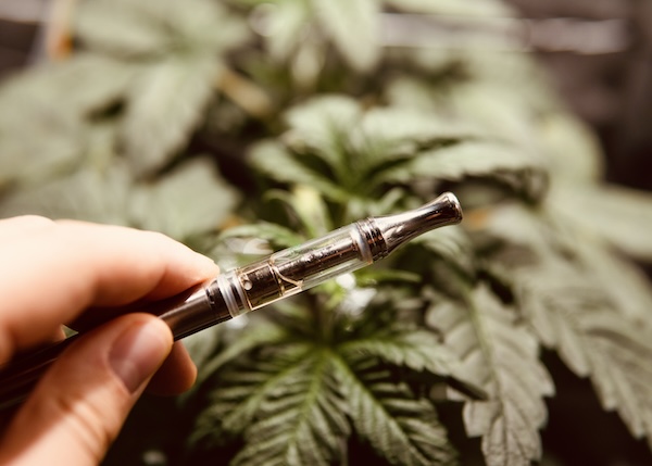 Cannabis vape cartridge filled with amber-colored marijuana oil displayed upright on a clean surface.