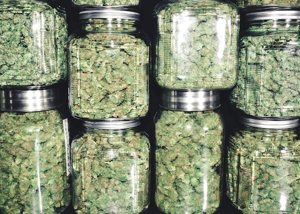 Stacked glass jars filled with dried cannabis flower arranged in a neat display.