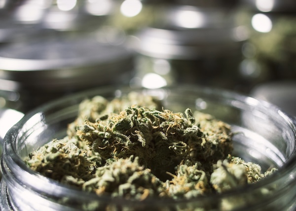 Open glass jar revealing fresh green cannabis buds inside.
